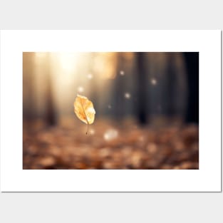 Leaf Air Nature Serene Tranquil Peaceful Posters and Art